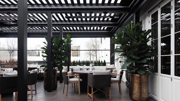 Un patio exterior con pérgola, zona de estar y plantas grandes en macetas.