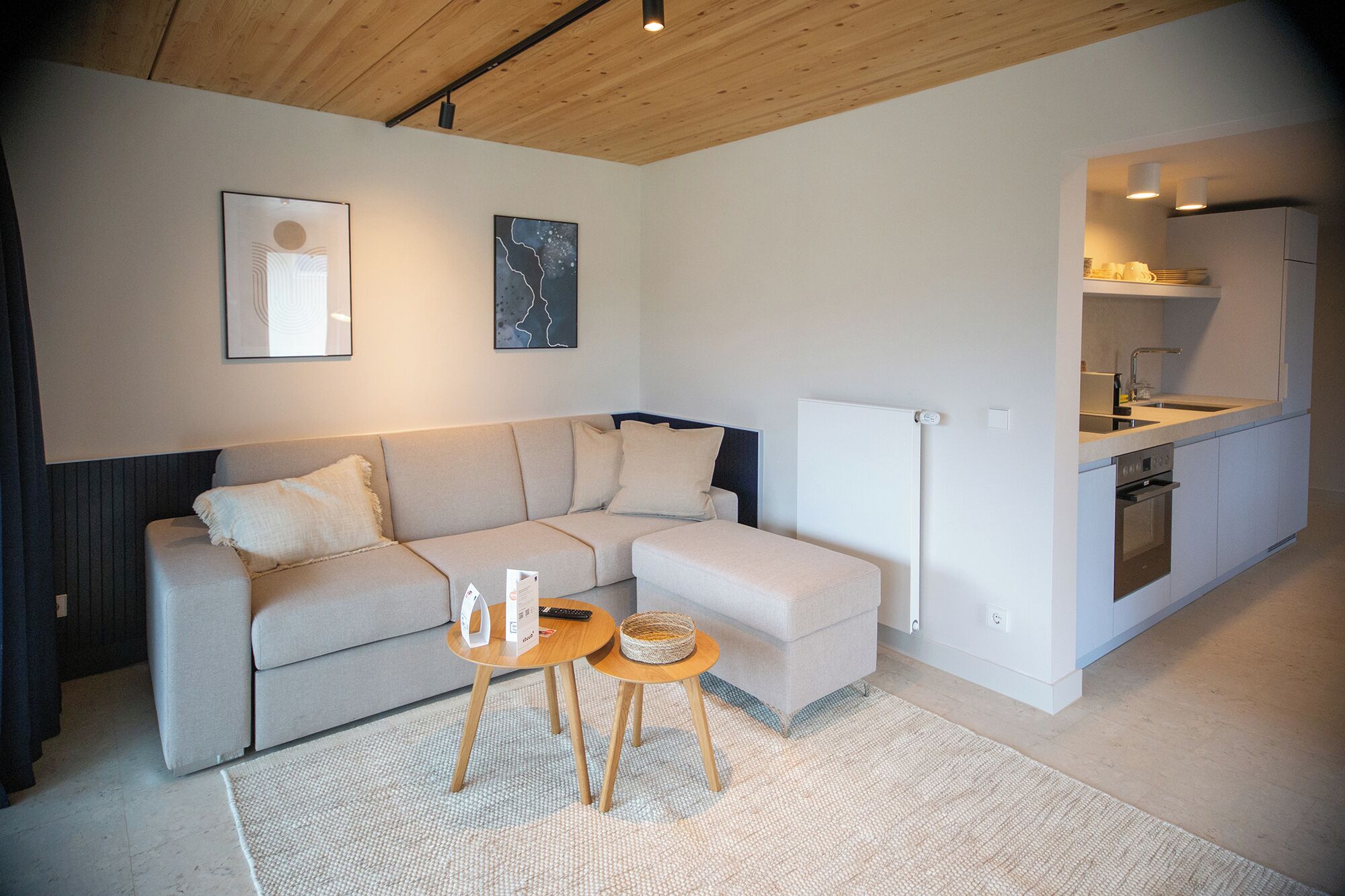A modern living room with a sofa, a small coffee table, and a kitchen area with a sink and oven.