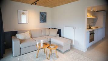 A modern living room with a sofa, a small coffee table, and a kitchen area with a sink and oven.
