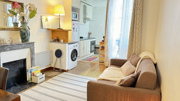 A living room with a sofa, a fireplace, a washing machine, and a kitchen area with a microwave and oven.