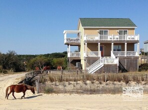 Exterior - Relax among the dunes and see wild horses from the porch at Shifting Sands! (Carova)