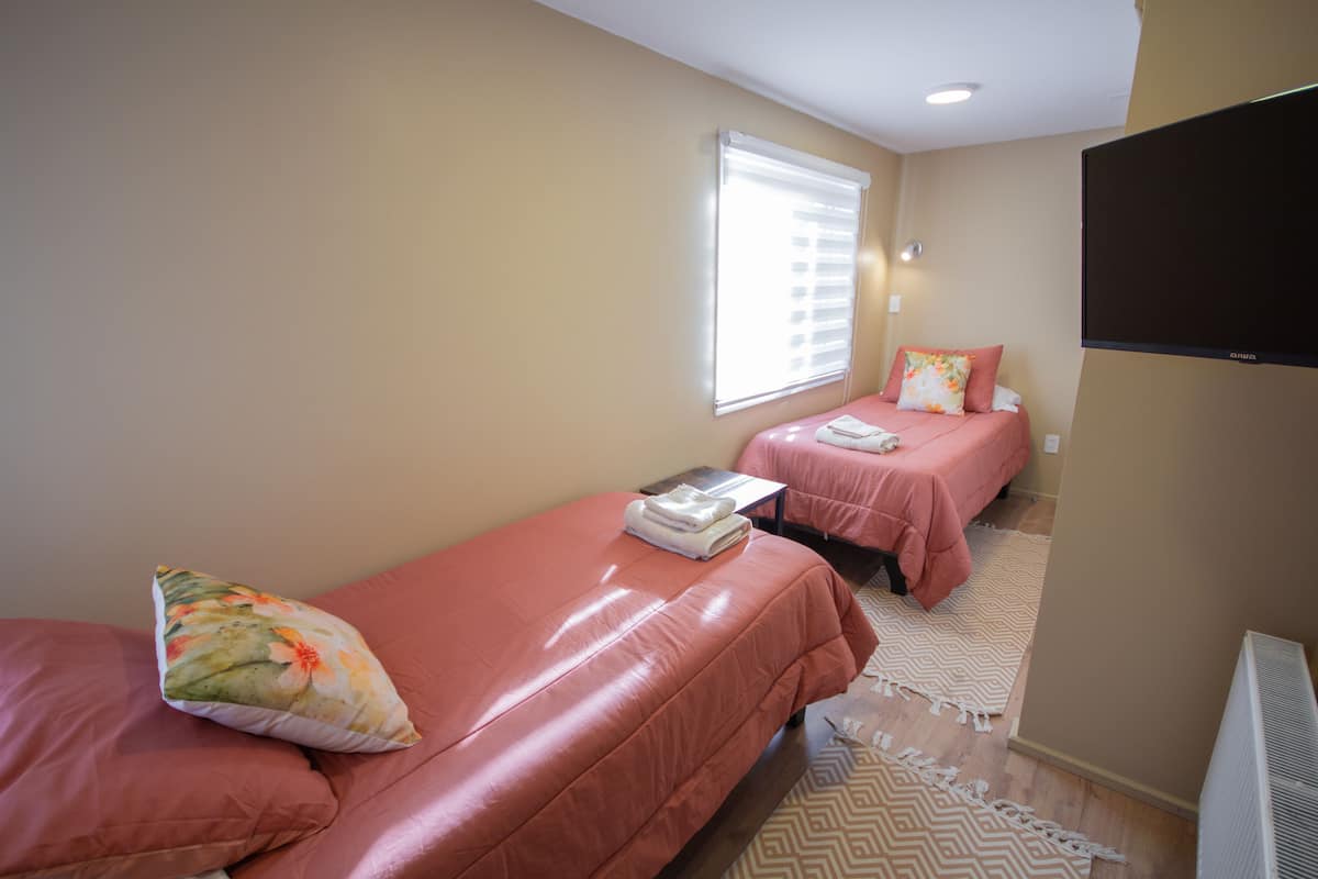 Habitación clásica con 2 camas individuales, 2 camas individuales, baño privado, vista al patio | Muebles diferentes, escritorio y espacio para trabajar con laptop