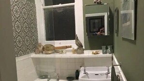 Et lille badeværelse med badekar, håndvask og spejl. Der er et vindue over håndvasken og en hylde med toiletartikler.