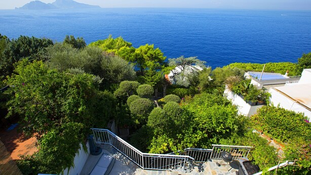 A coastal property with a staircase leading to a terrace overlooking the sea, surrounded by lush greenery.
