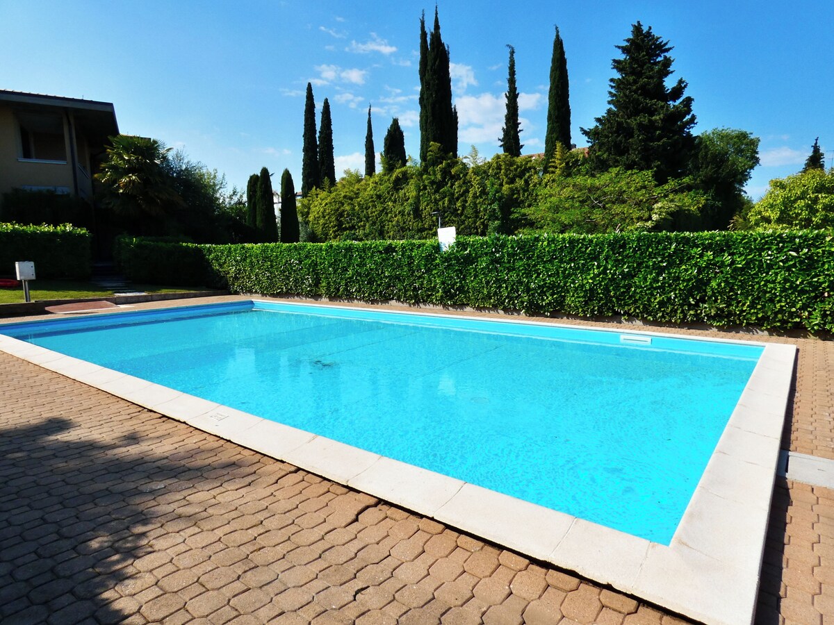 Imagen de perfil del propietario o de la propietaria