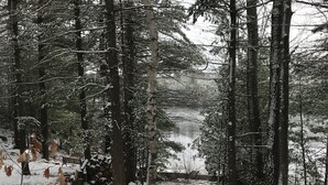 Un panneau indiquant « Bienvenue » dans un décor de forêt enneigée.