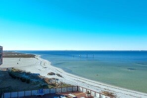 公寓, 多張床 (Palm Beach Club 2-219) | 海灘