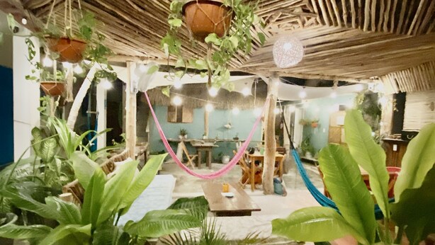 A room with a thatched ceiling, hanging plants, and string lights. - Barco Verde Hostel  (Isla Holbox)