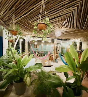 A room with a thatched ceiling, hanging plants, and string lights. - Barco Verde Hostel  (Isla Holbox)
