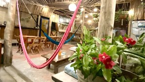 An indoor space with a rustic wooden ceiling, a hammock, and a potted plant with red flowers. - Barco Verde Hostel  (Isla Holbox)