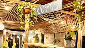 A reception area with a wooden reception desk, hanging plants, and a sign that reads "RECEPTION". - Barco Verde Hostel  (Isla Holbox)