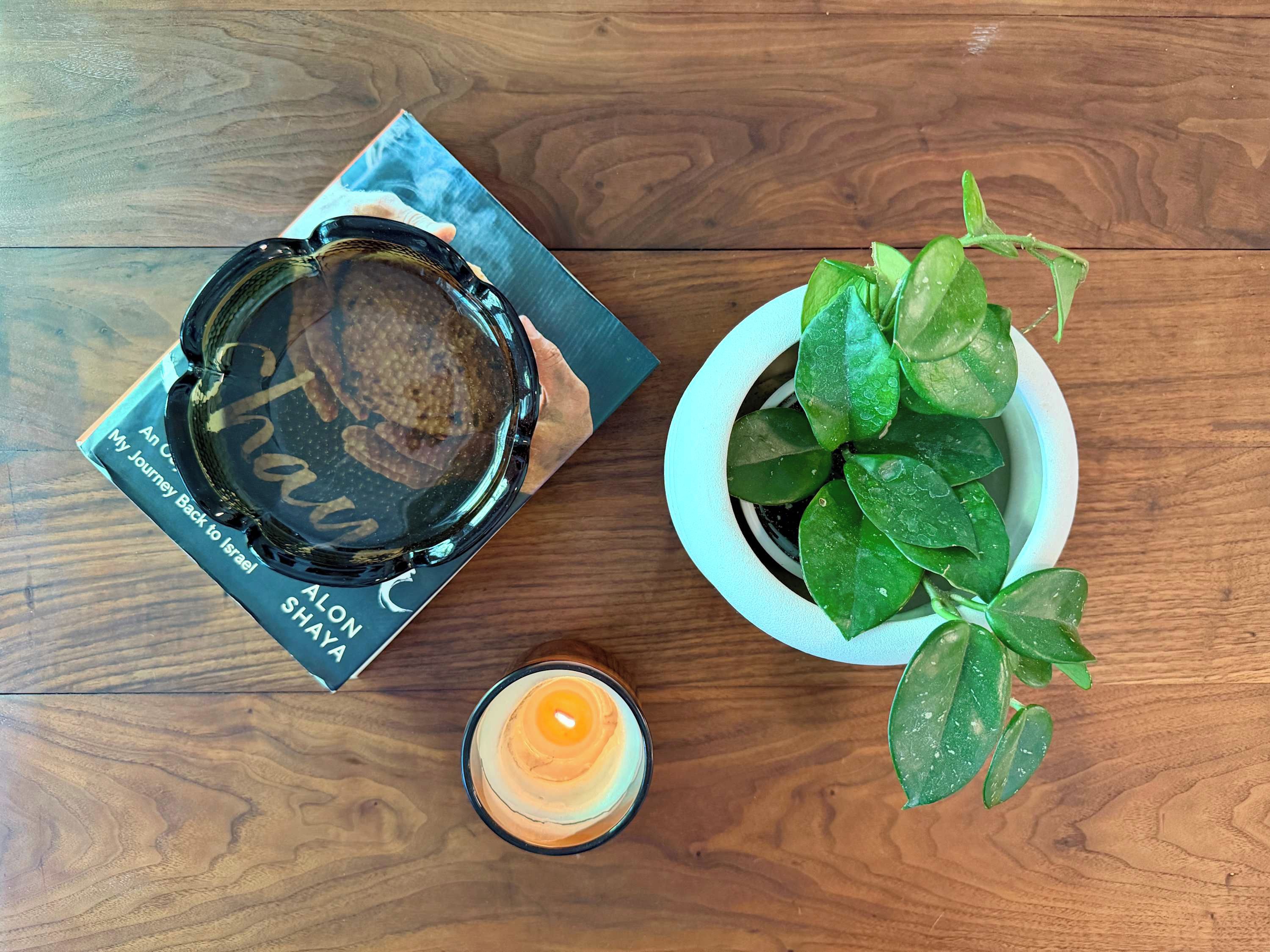 A book titled 'An Odyssey to Israel,' a candle, and a potted plant on a wooden table.