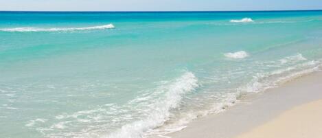 Appartement, plusieurs lits (Sans Souci unit 601) | Plage