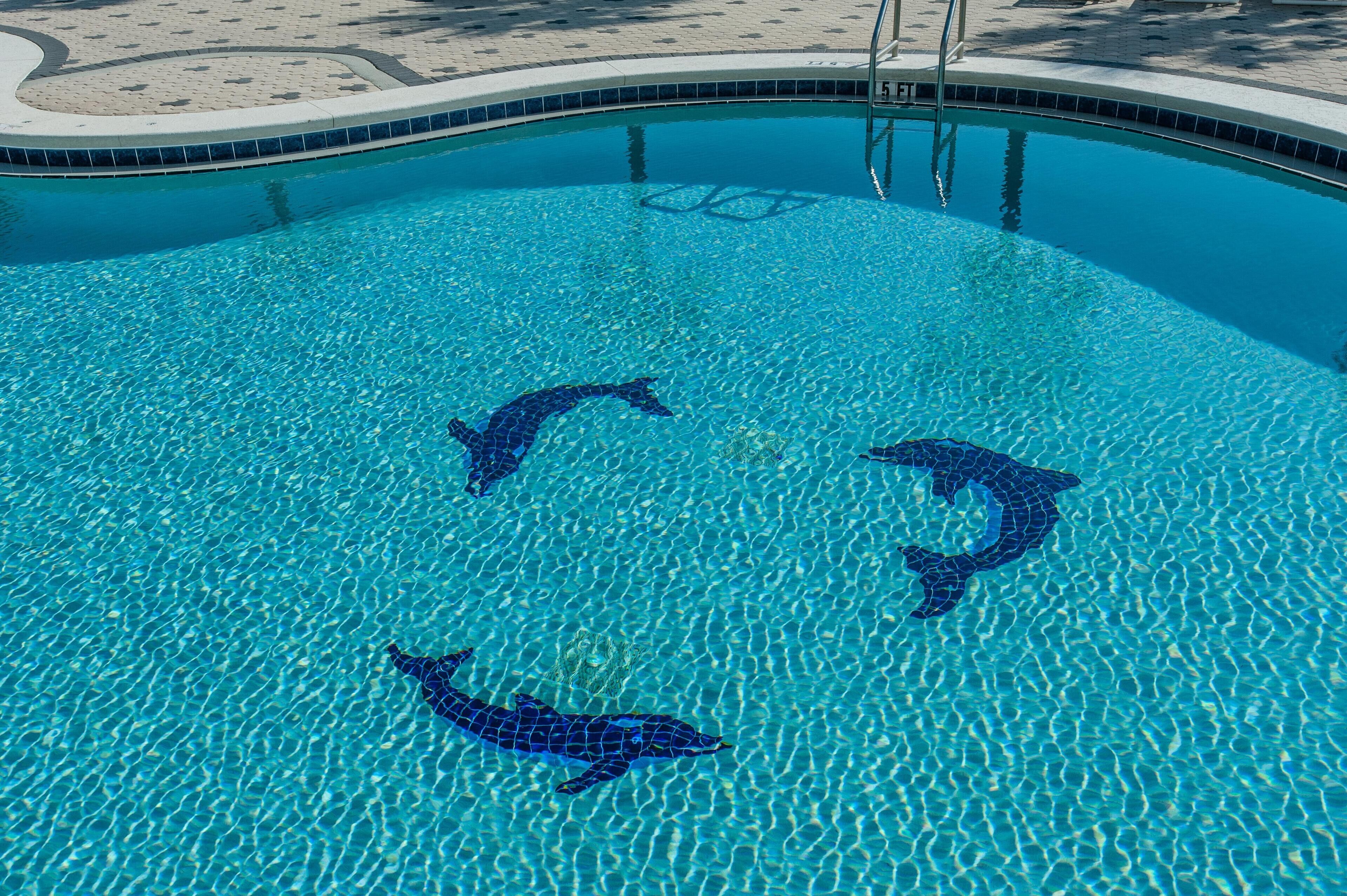 Apartment, Multiple Beds (Emerald Dolphin unit 510) | Pool