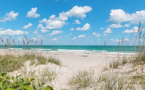 Ein Strand mit blauem Himmel und Meereswellen.
