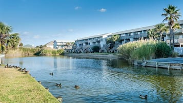 Apartment, 1 King Bed with Sofa bed (Villas on the Gulf unit E4) | Property grounds