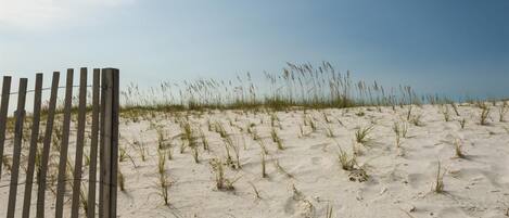 A sandy beach with sparse grass and a wooden fence.