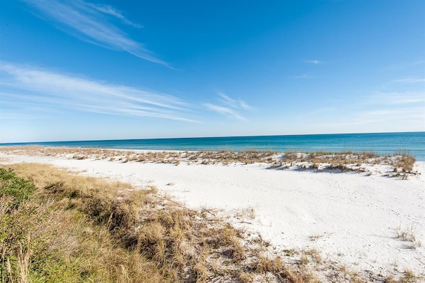 Apartment, 1 King Bed with Sofa bed (Seahorse unit R) | Beach | On the beach