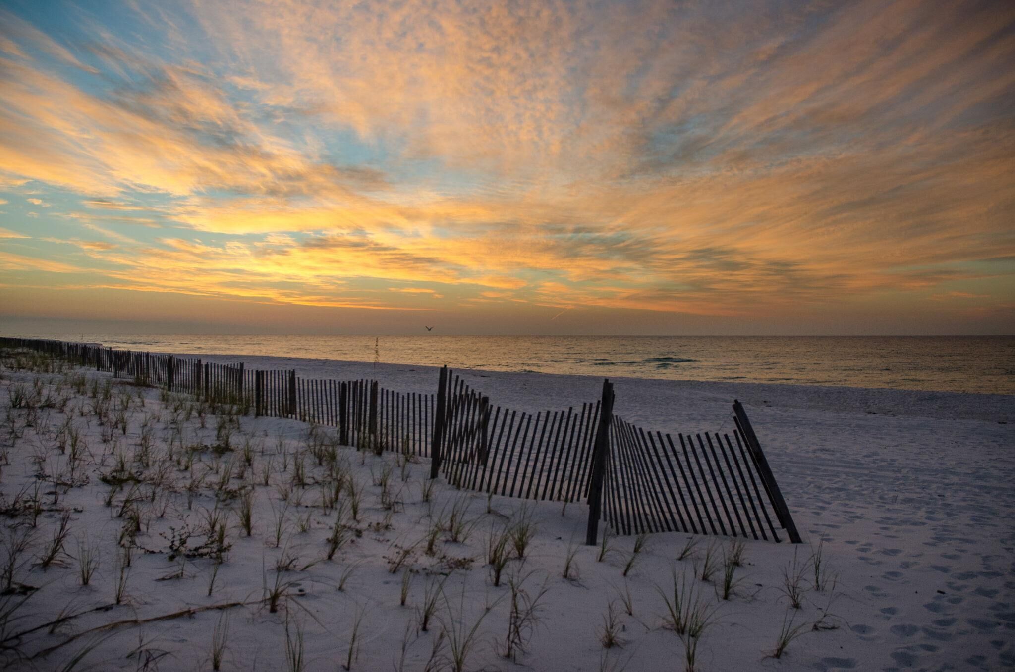 A beach with a wooden fence and sand dunes.