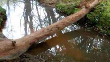 1 chambre, fer et planche Ă repasser, Wi-Fi, draps fournis