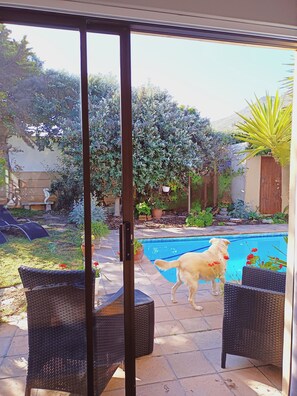 Interior - Quaint Cottage with tranquil garden and swimming pool . Near beach ! (Cape Town)