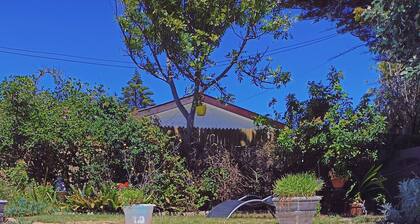 Quaint Cottage with tranquil garden and swimming pool .  Near beach  !