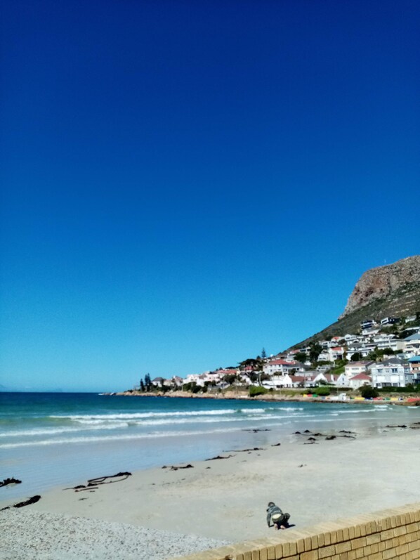 Beach - Quaint Cottage with tranquil garden and swimming pool . Near beach ! (Cape Town)