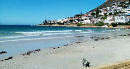 Quaint Cottage with tranquil garden and swimming pool . Near beach !