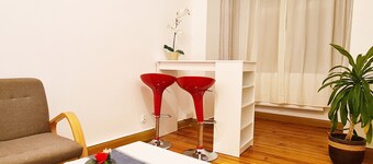 Souvenirappart Sniadeckich 3T