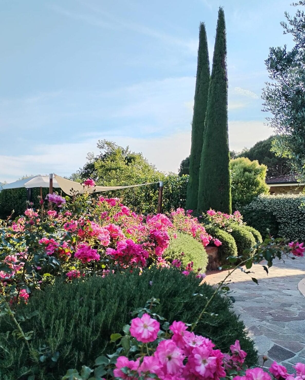 Terrein van de accommodatie