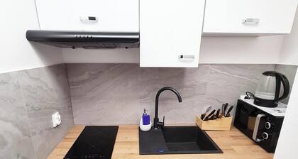 Souvenirappart Sniadeckich 3U