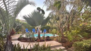 Un espace piscine agrémenté de chaises longues bleues, entouré de plantes tropicales et d’un palmier.