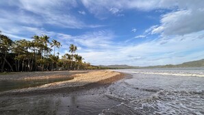 Une plage au rivage de galets, bordée de palmiers, sous un ciel dégagé.