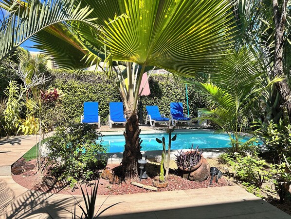 A pool area with blue lounge chairs, a palm tree, and various plants.