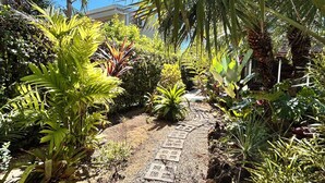 Un sentier de jardin bordé de différentes plantes et un mur de pierres.