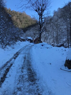 Sábanas de algodón egipcio, ropa de cama de alta calidad y cubrecamas