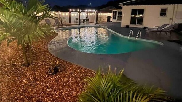 Una piscina con borde curvo, rodeada por una terraza con sillones de descanso y una palmera pequeña.