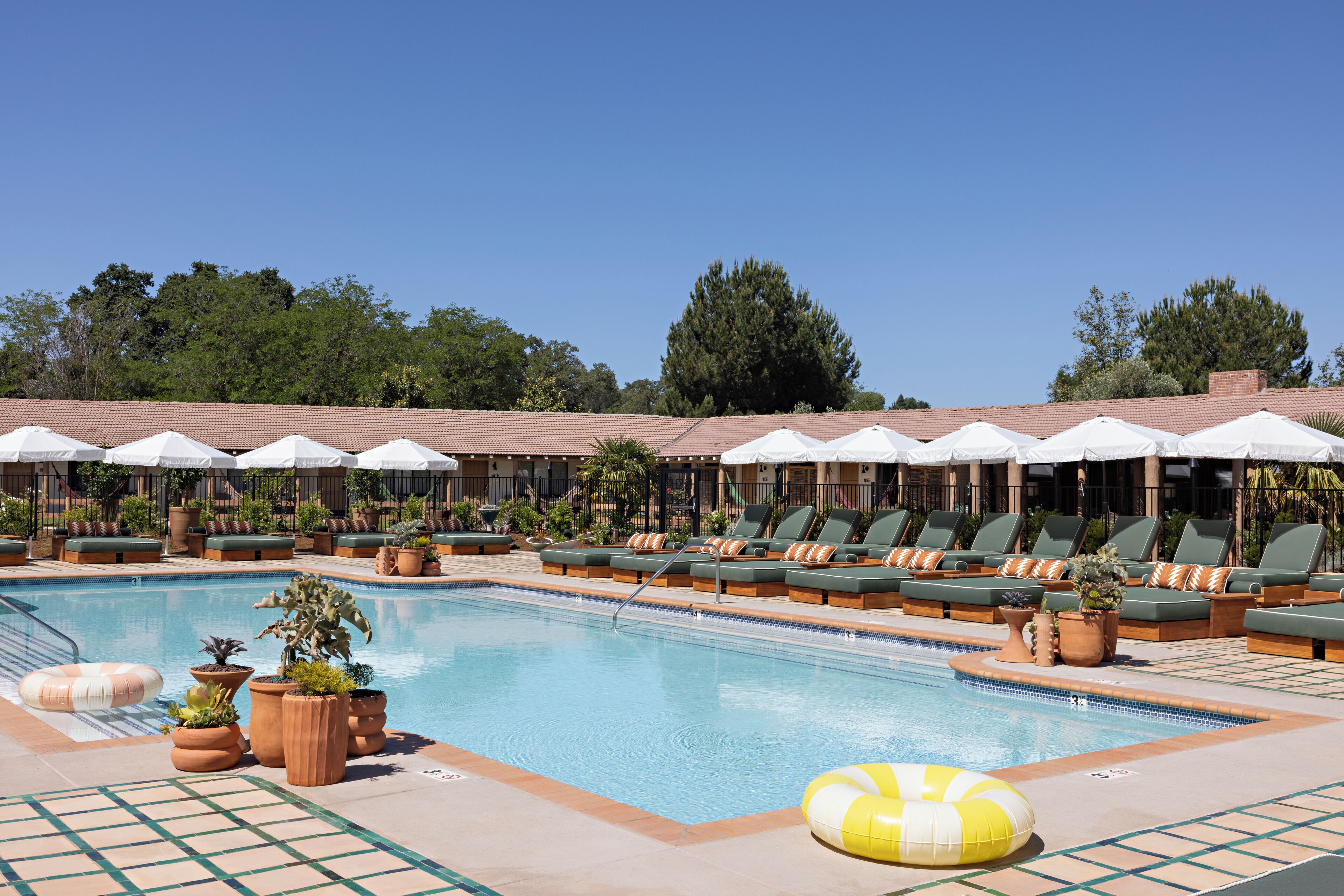 A pool area with lounge chairs and umbrellas, surrounded by potted plants.
