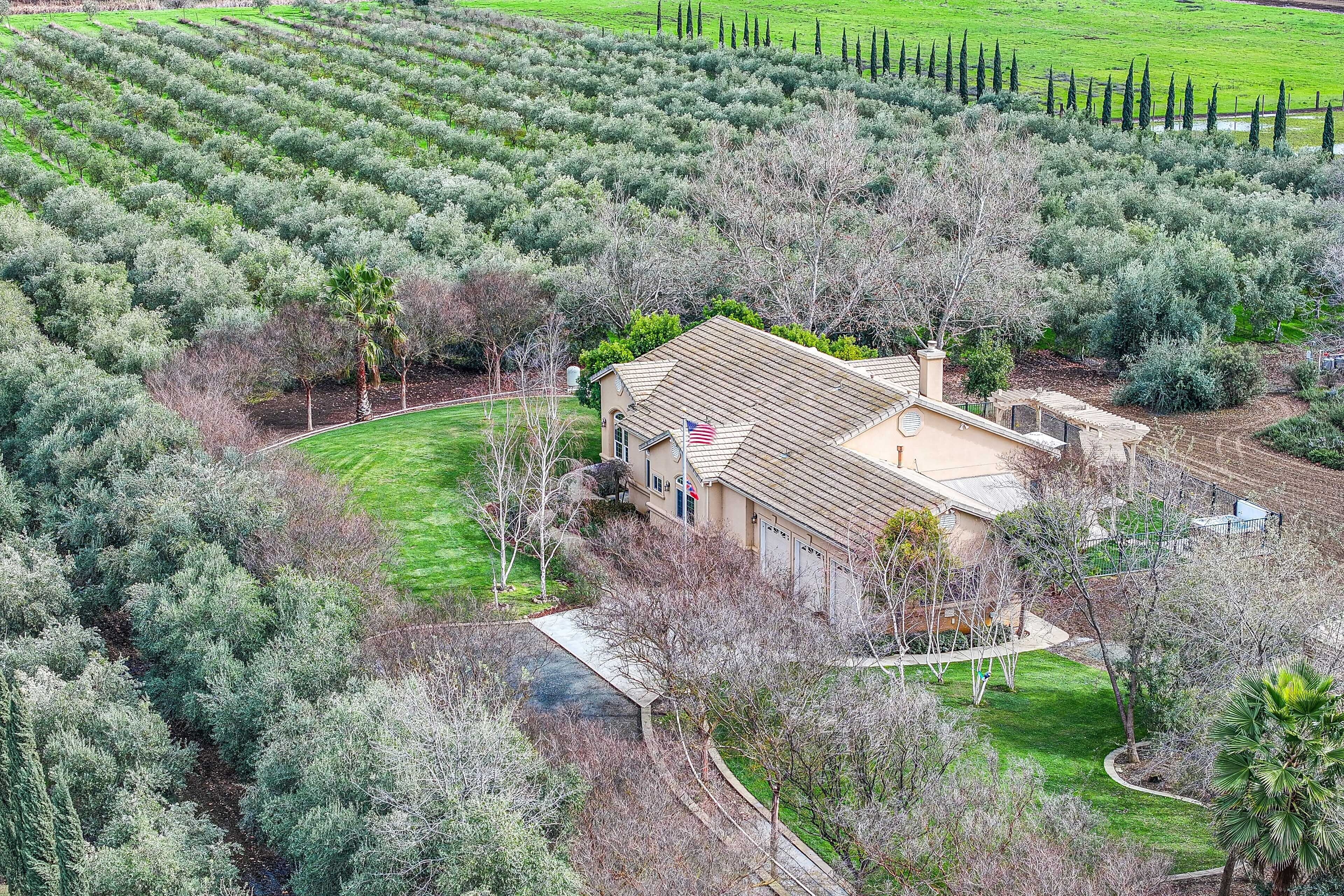 Beautiful Home w/ Hot Tub on Byron Olive Farm