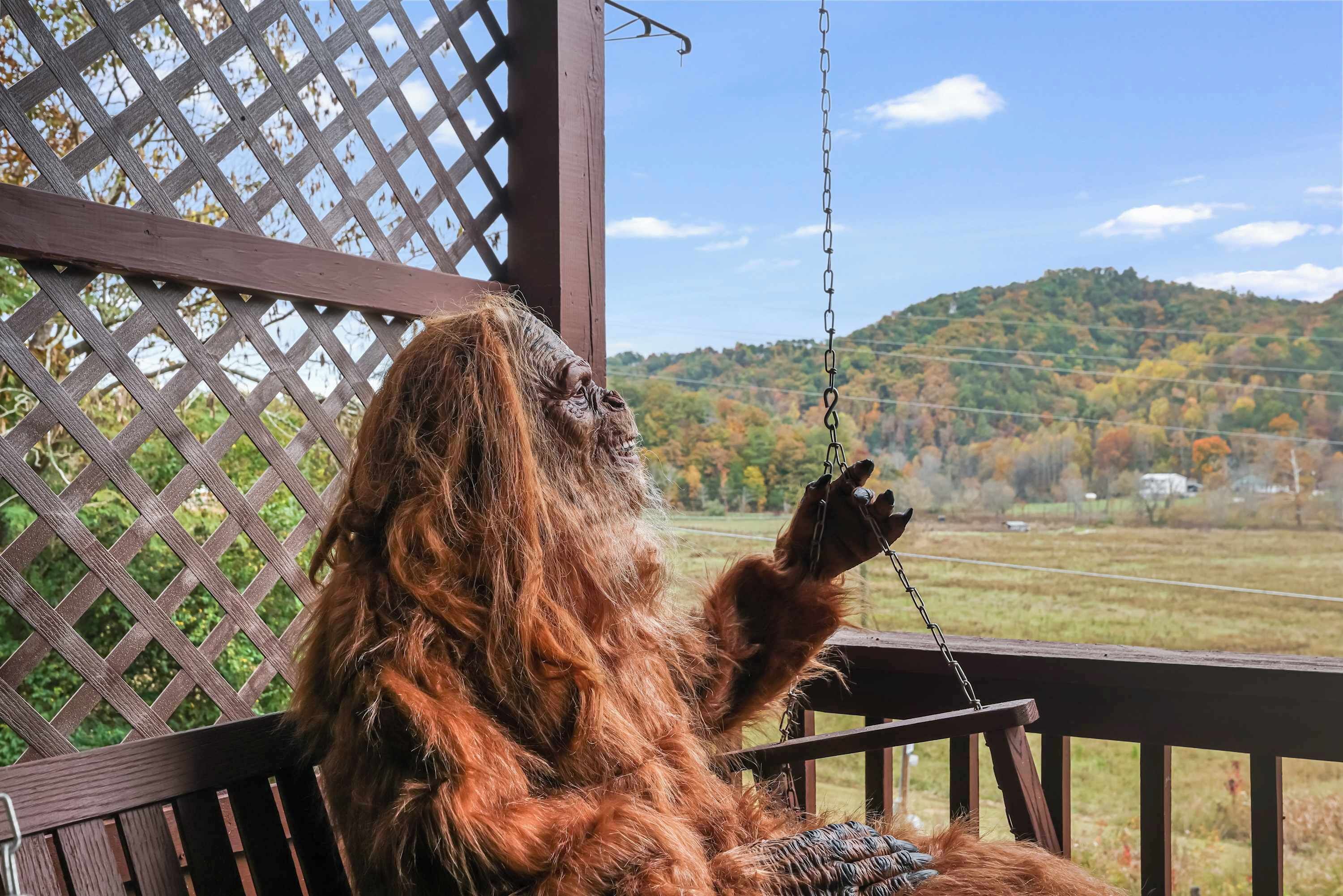 Eine hölzerne Veranda mit Gitterwerk im Hintergrund, mit Blick auf eine hügelige Landschaft.