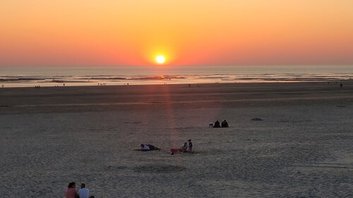 Lumineux T2 Berck-plage Proche mer et Centre Ville