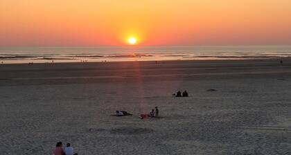 Lumineux T2 Berck-plage proche mer et centre ville