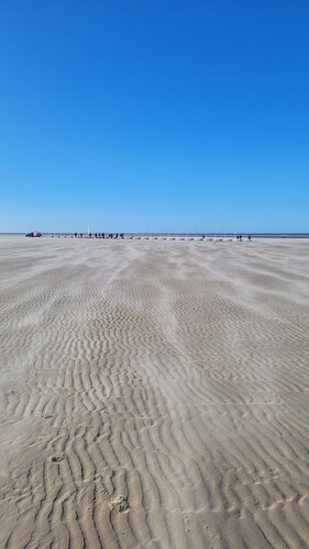 Lumineux T2 Berck-plage Proche mer et Centre Ville
