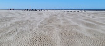 Lumineux T2 Berck-plage Proche mer et Centre Ville