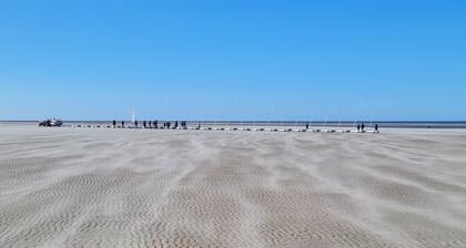 Lumineux T2 Berck-plage Proche mer et Centre Ville