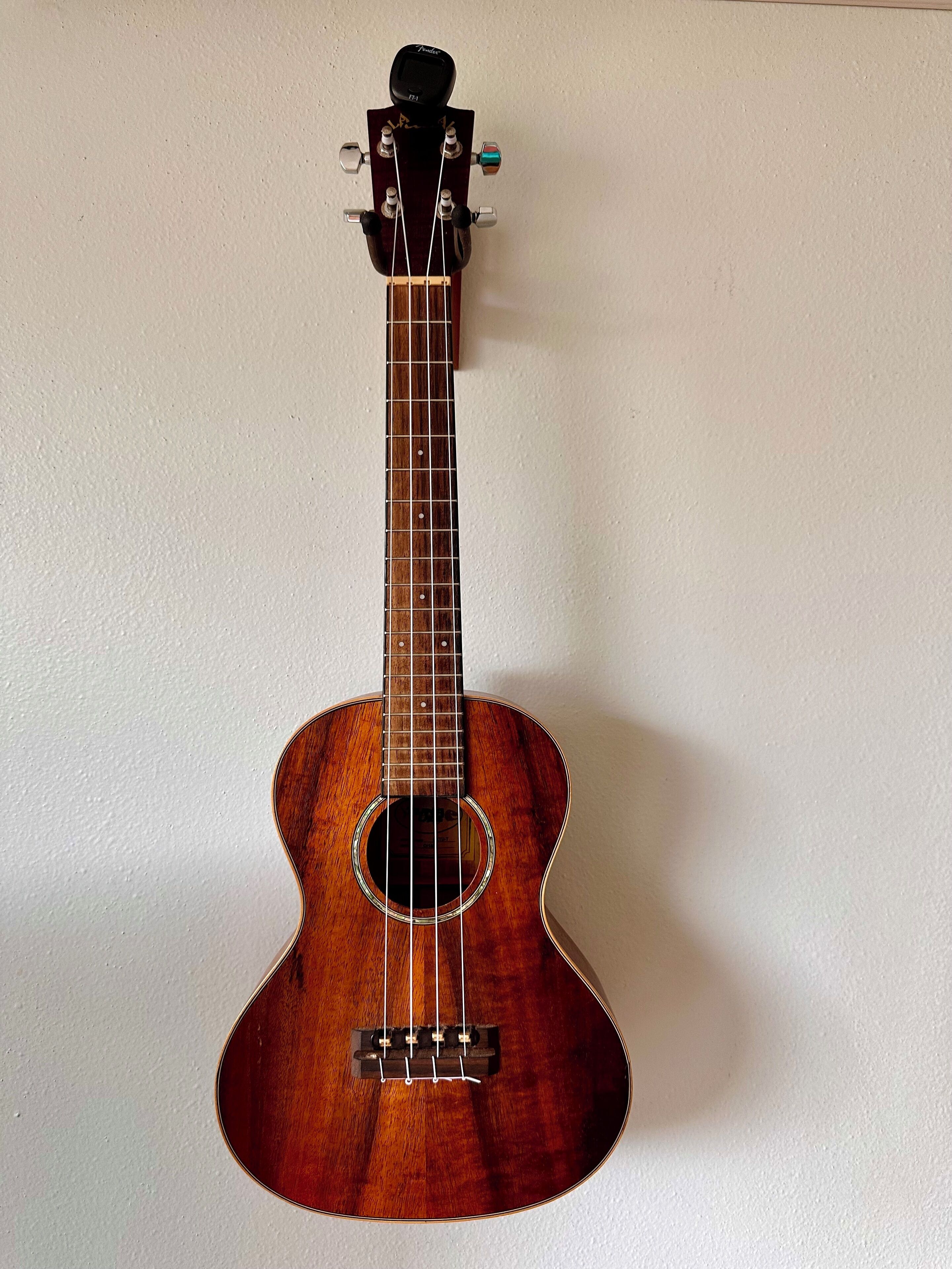 A guitar with a dark wood finish and a circular sound hole, mounted on a white wall.