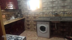 A compact kitchen with a washing machine, a sink, and a stove. - tut amun guest house (Abu Simbel)