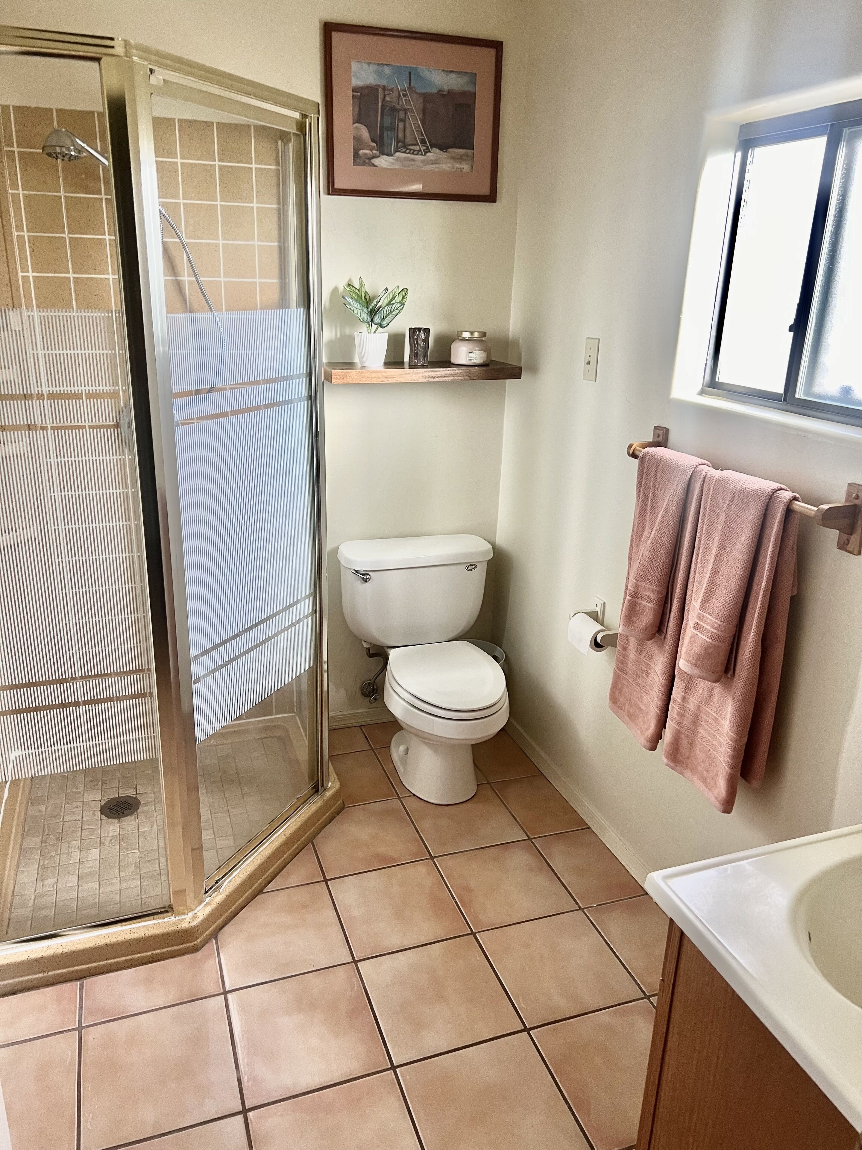 Shower, towels, soap, toilet paper
