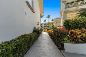 A pathway flanked by lush greenery and a building with a balcony.