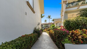 A pathway flanked by lush greenery and a building with a balcony. - Condominio 1HAB/Balcón - Grand Marina Villas (Nuevo Vallarta)